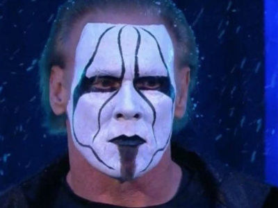 Photos of Sting and the Ultimate Warrior at the start of their wrestling careers